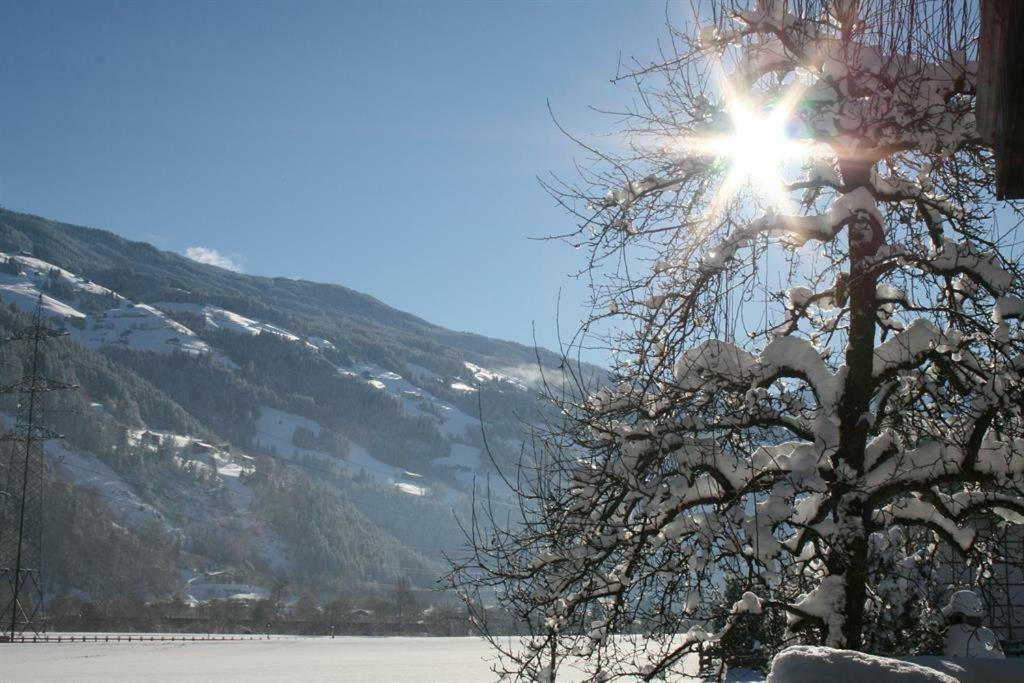 Schweinberger Sixtus Appartement Aschau Im Zillertal Buitenkant foto