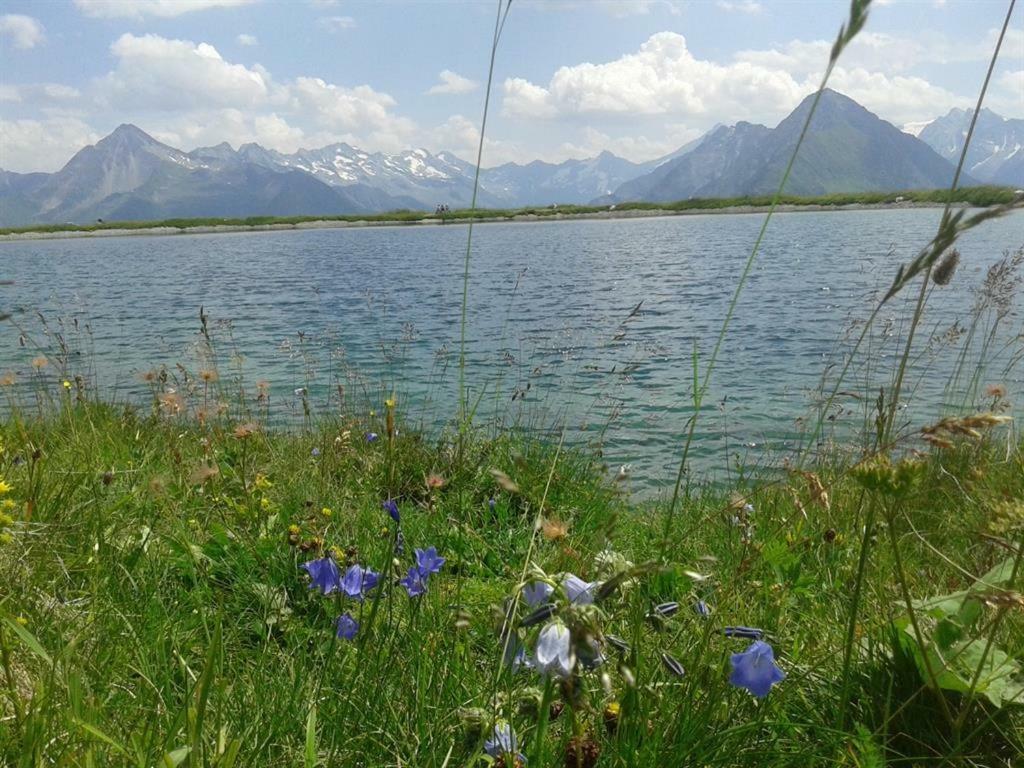 Schweinberger Sixtus Appartement Aschau Im Zillertal Buitenkant foto