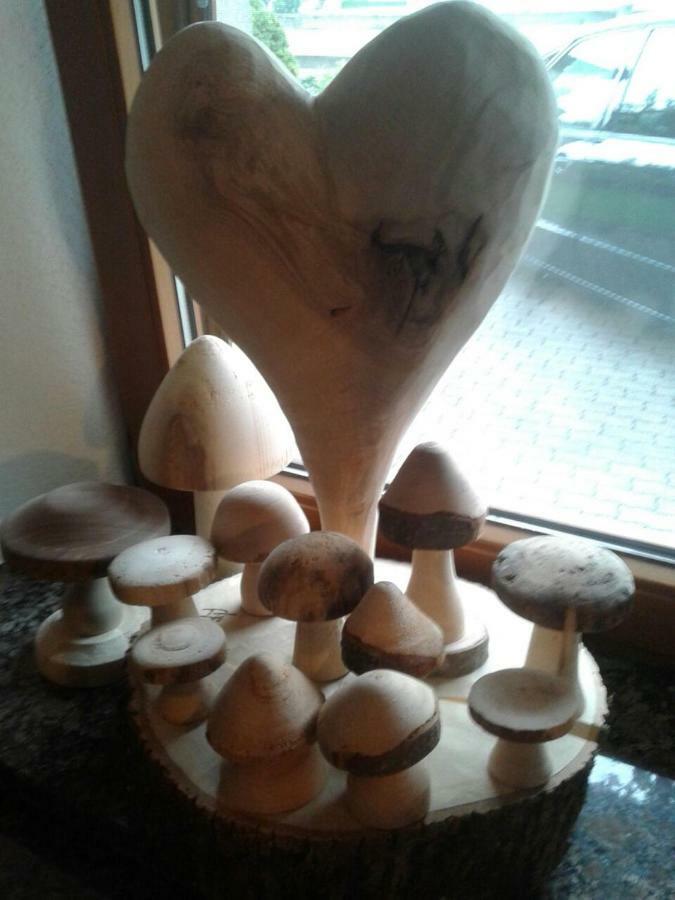 Schweinberger Sixtus Appartement Aschau Im Zillertal Buitenkant foto